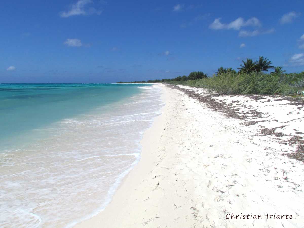 Image: Punta Sur (Cozumel)