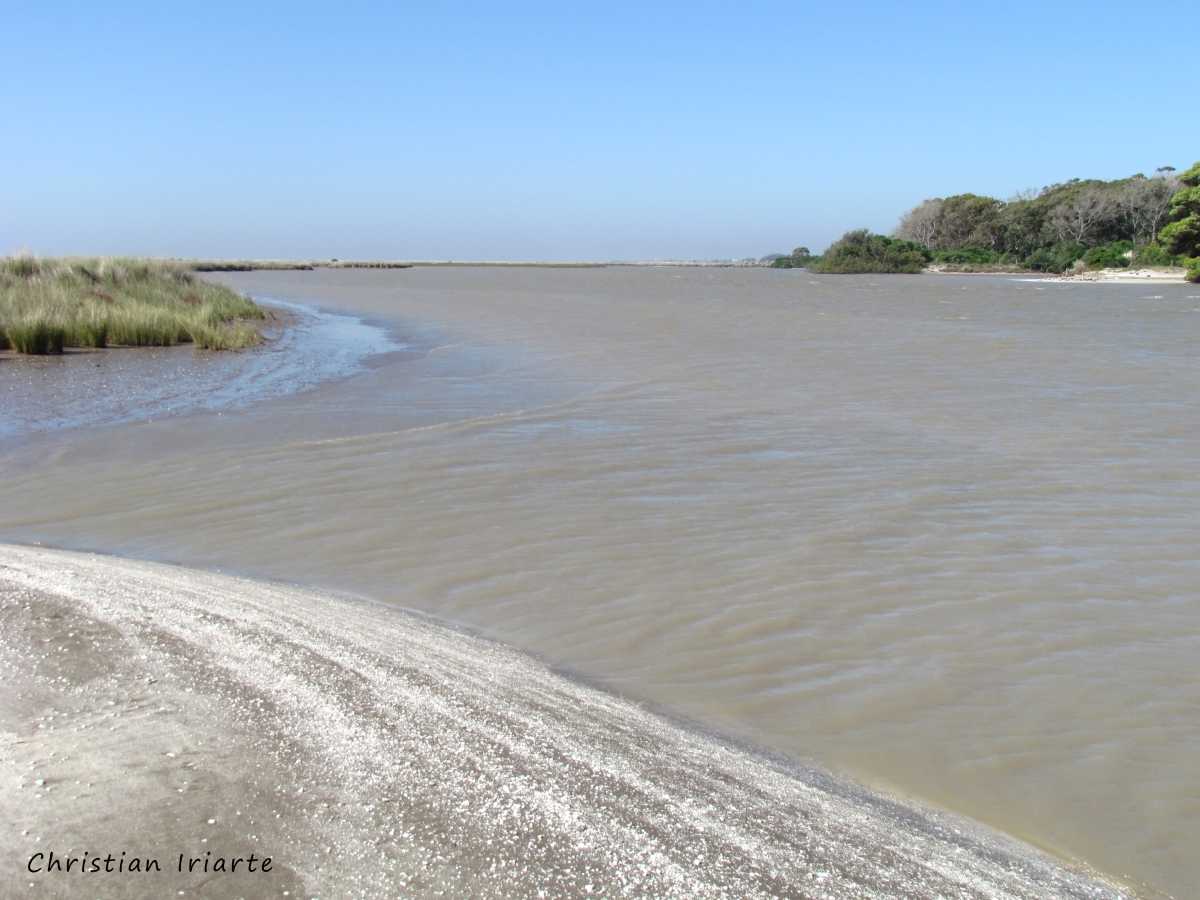 Image: Punta Rasa