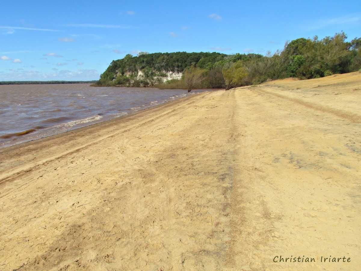 Image: Beach on the Uruguay River by El Palmar