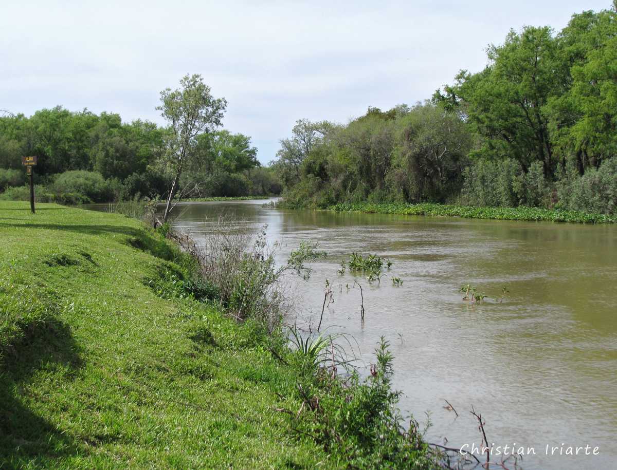 Paraje La Jaula - Parque nacional Pre-Delta