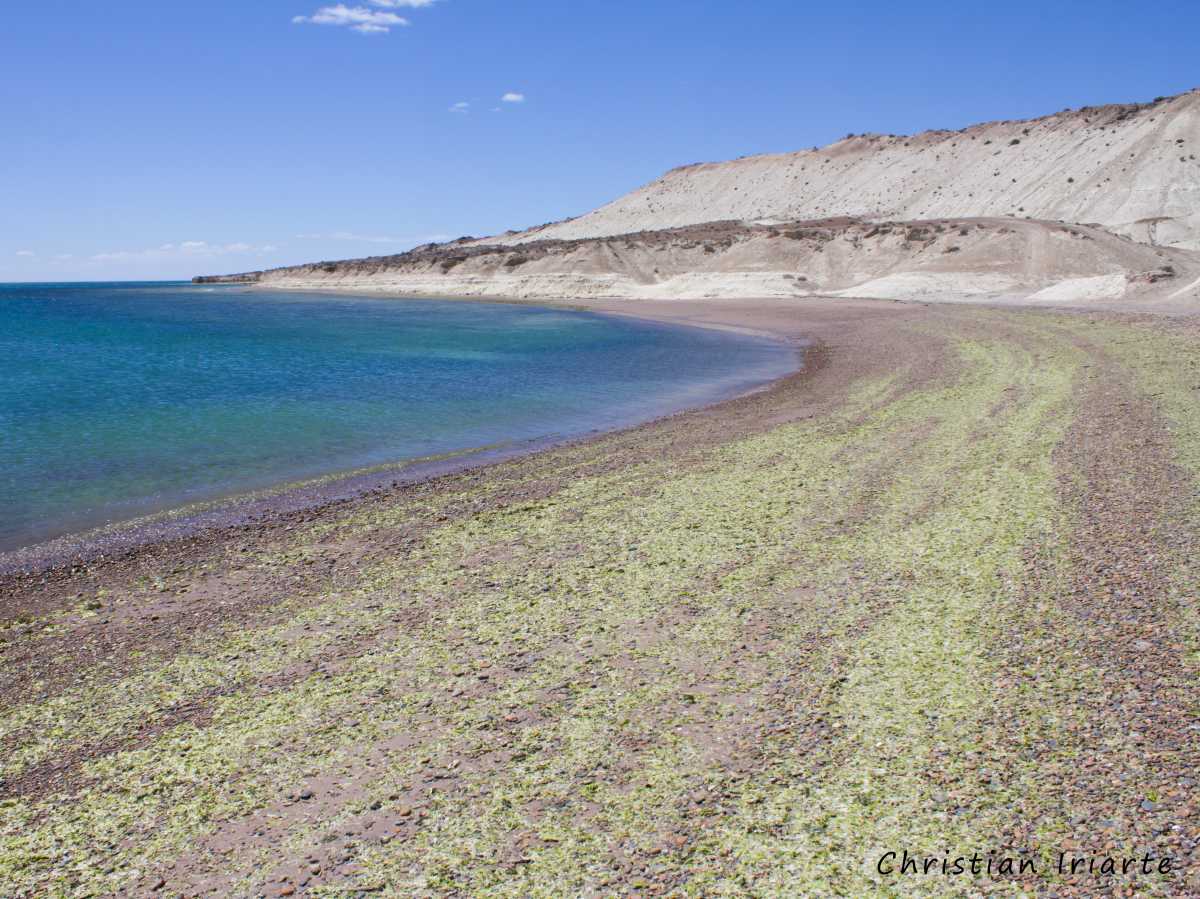 Playas camino a Cerro Avanzado