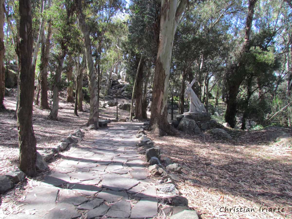 Way of the Cross - Tandil