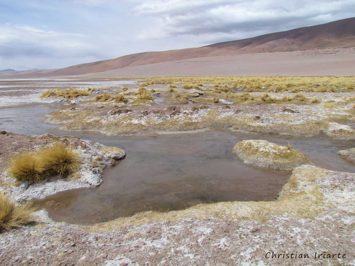 Tara Salt Flat