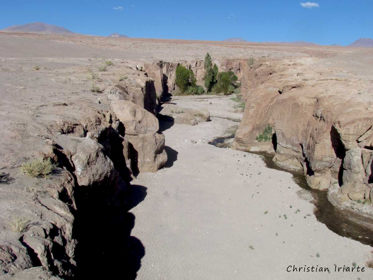 Valle de Jere por las afueras de Toconao