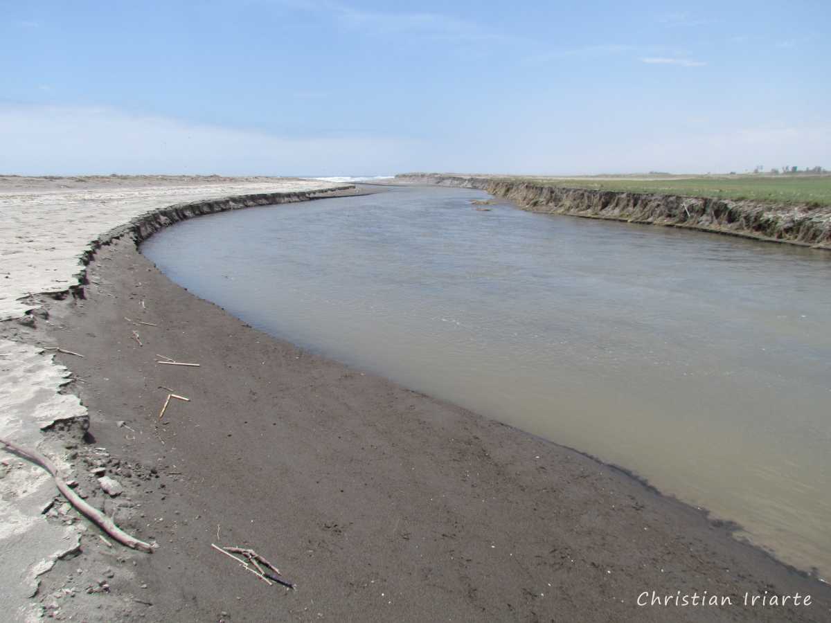 Image: Wetland at the Mouth of the Lluta River