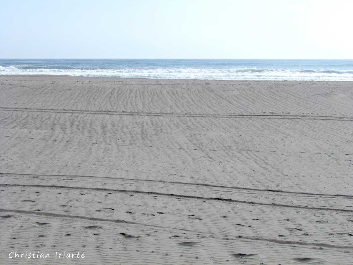 Playa Las Manchas