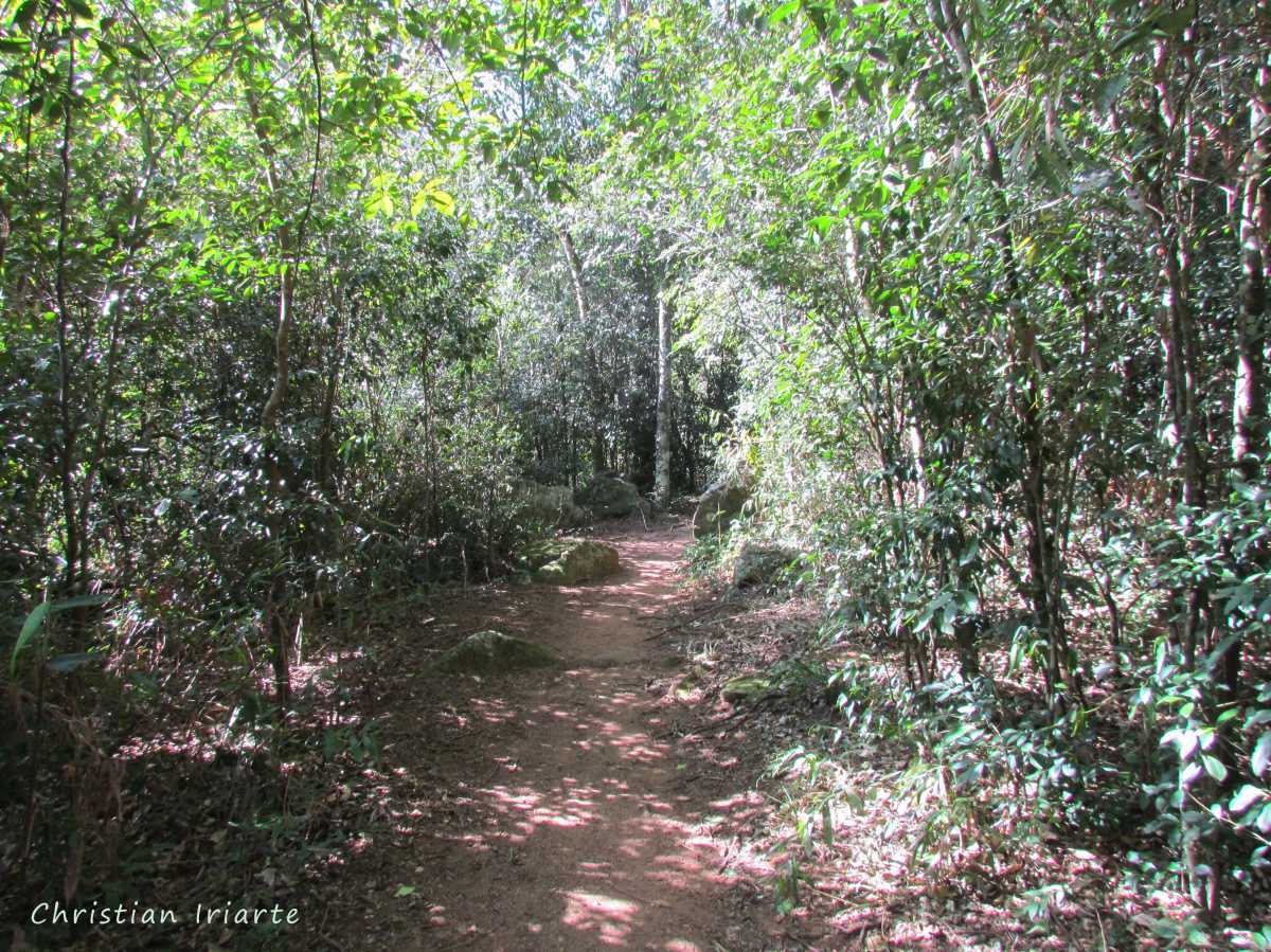 Arroyo Mina Trail - Ybycuí National Park