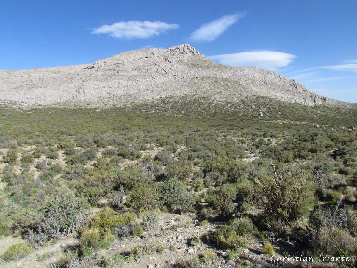Protected area by Caverna de las Brujas