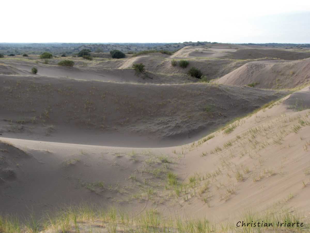 Sand dunes in Bosques Telteca