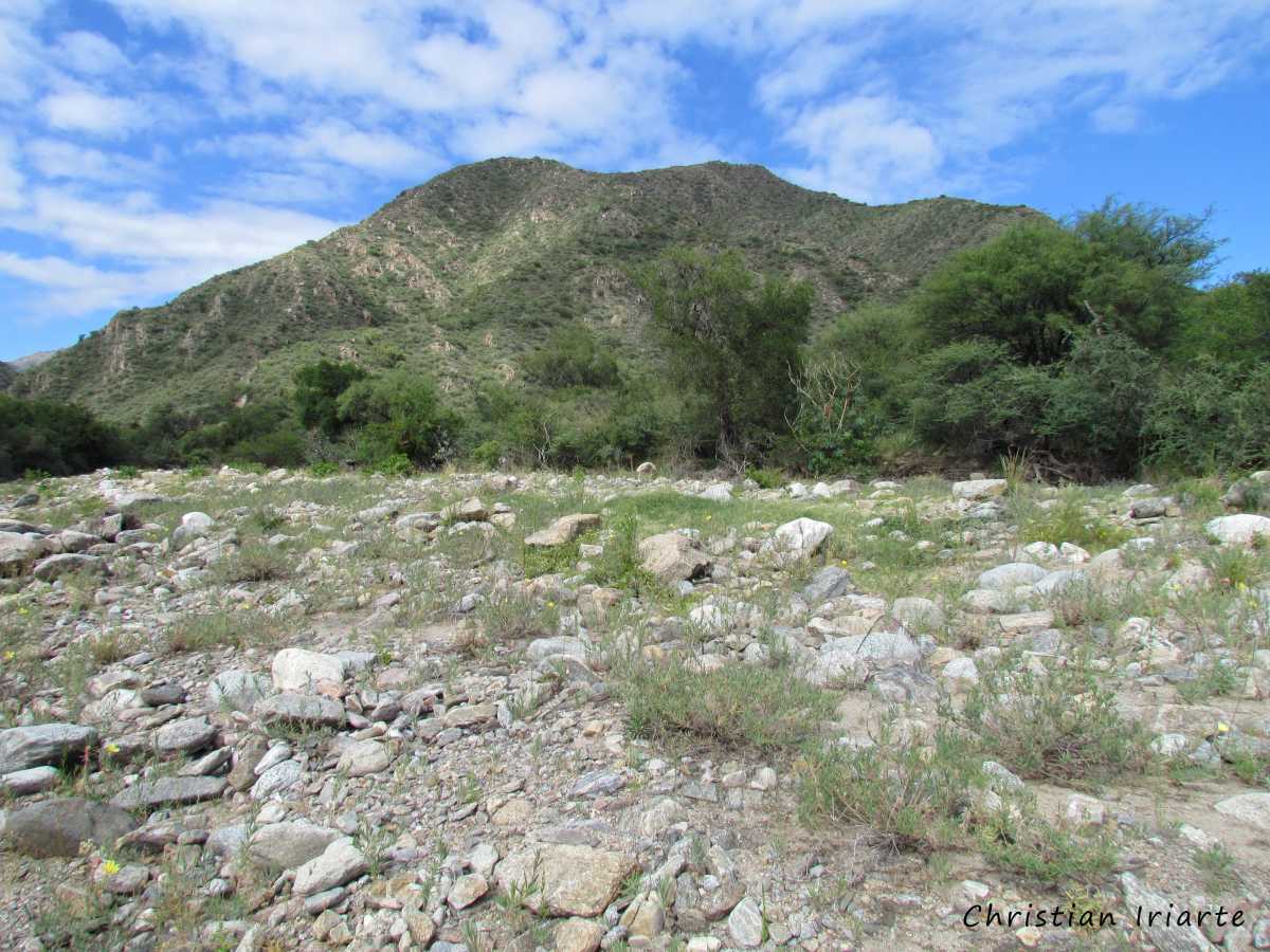Imagen: Quebrada de las Higueritas