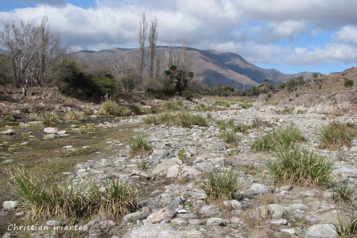 Imagen: Camino a El Rincón