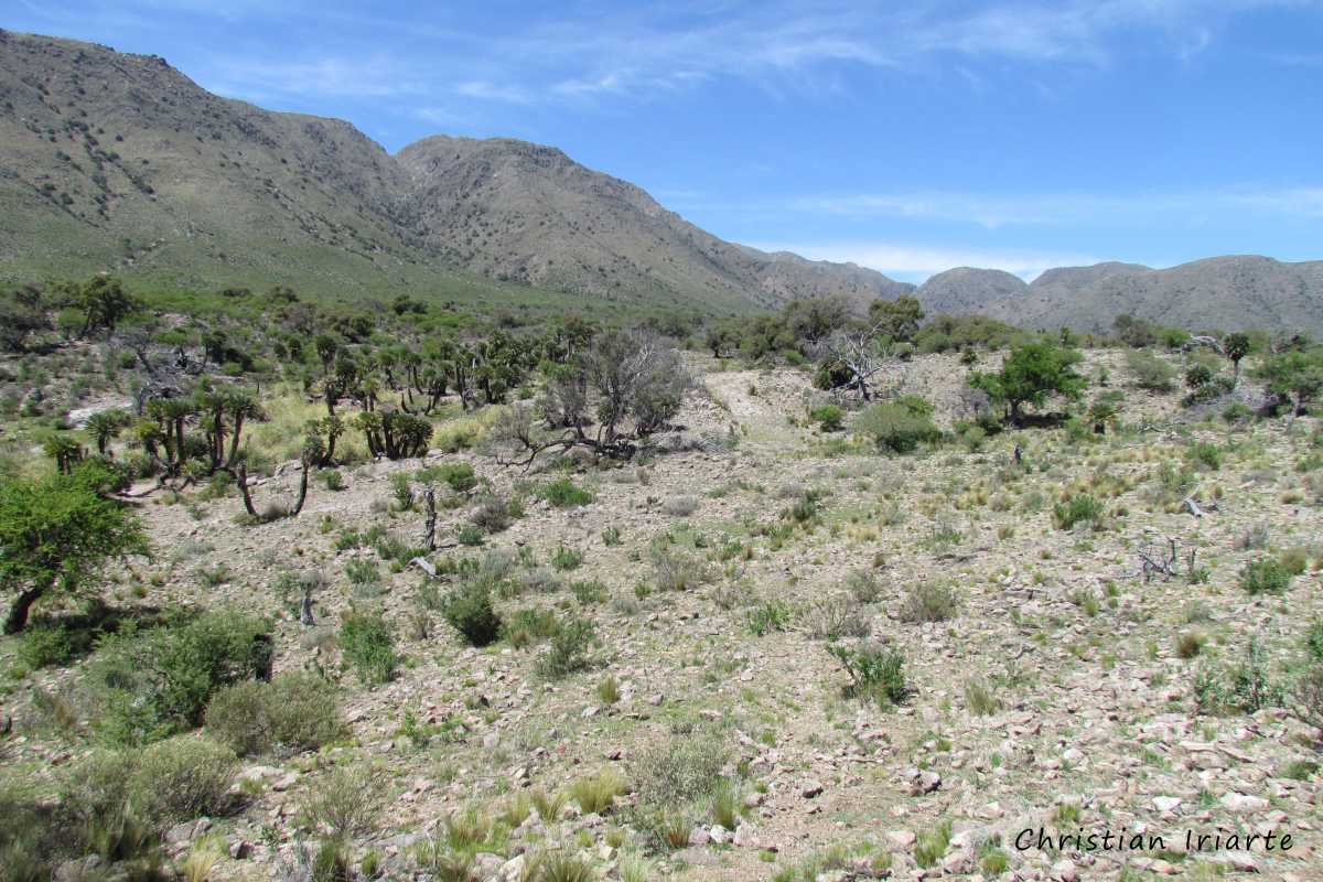Route to Rodeo de Cadenas