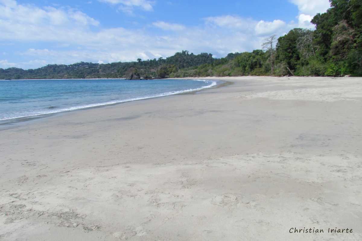 Imagen: Playa Espadilla Sur - Parque nacional Manuel Antonio