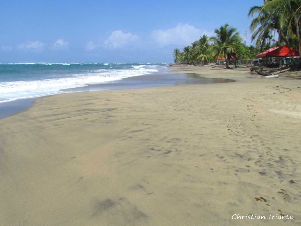 Imagen: Playa de Manzanillo