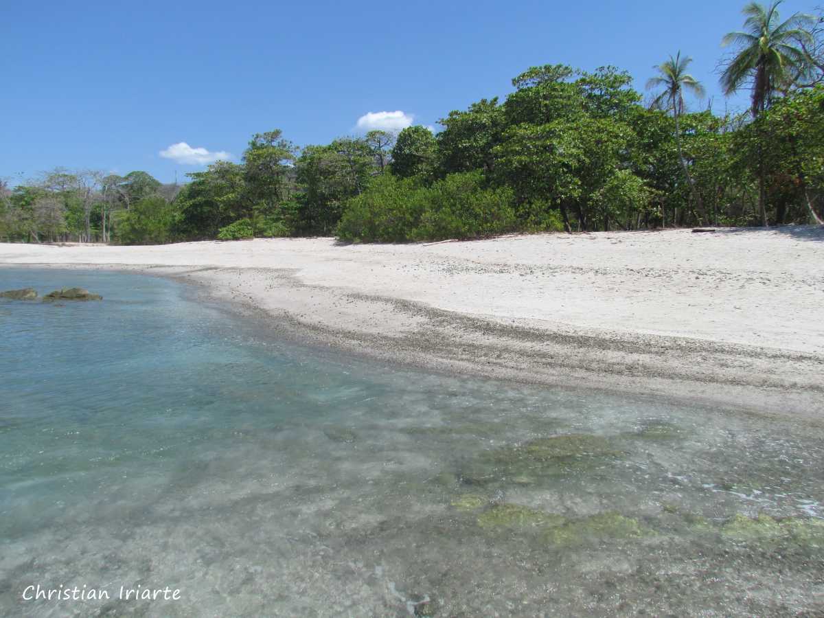 Image: Playa Carmen (Puntarenas)