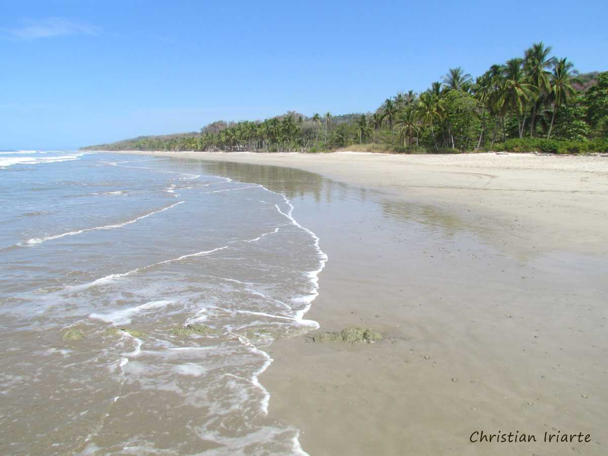 Playa Carmen (Puntarenas)