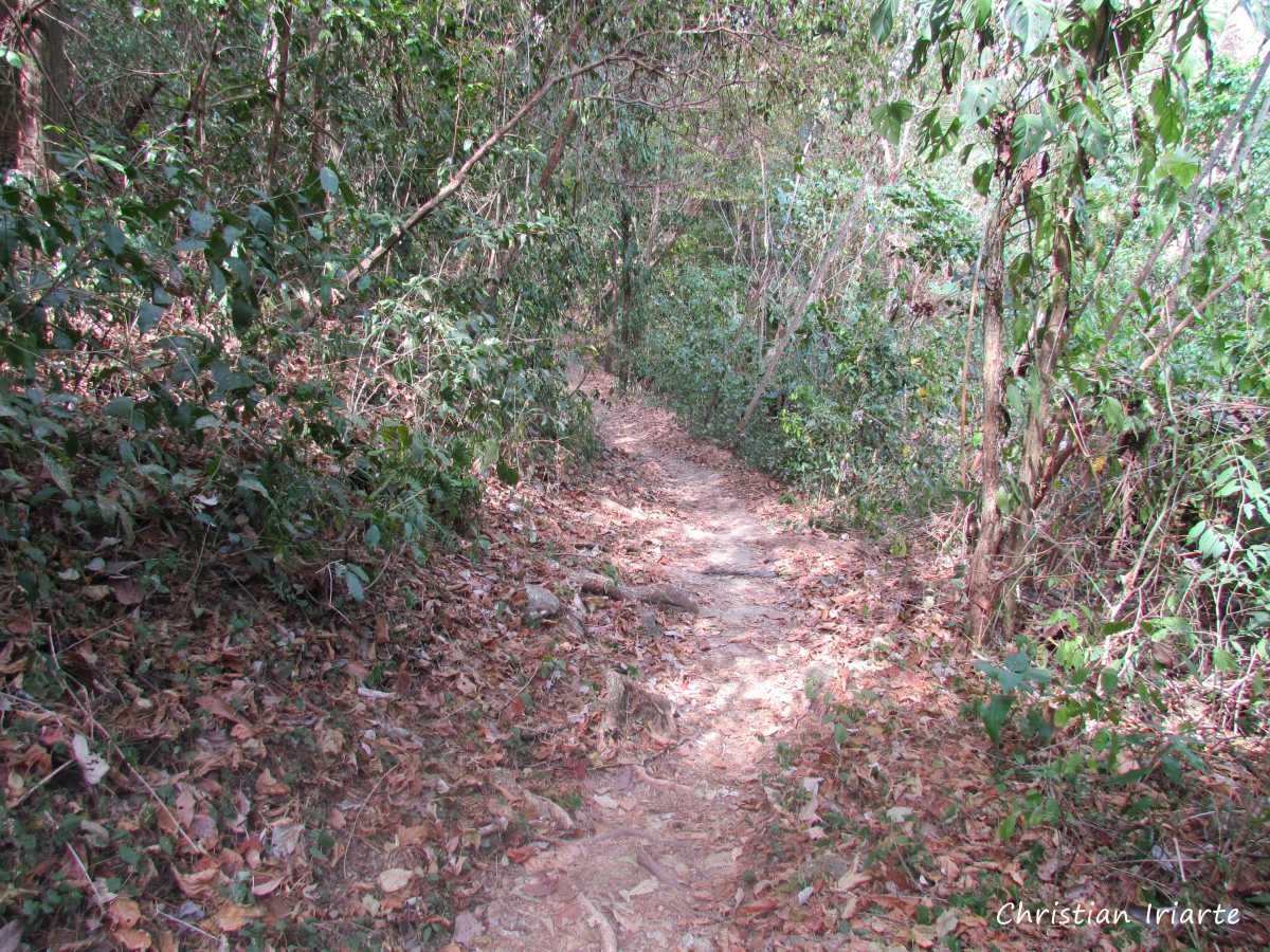 Imagen: Sendero de Cabo Blanco (Puntarenas)