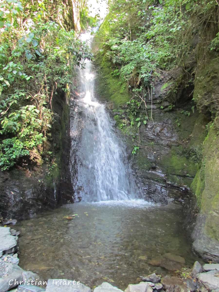 Waterfalls Route - Coroico