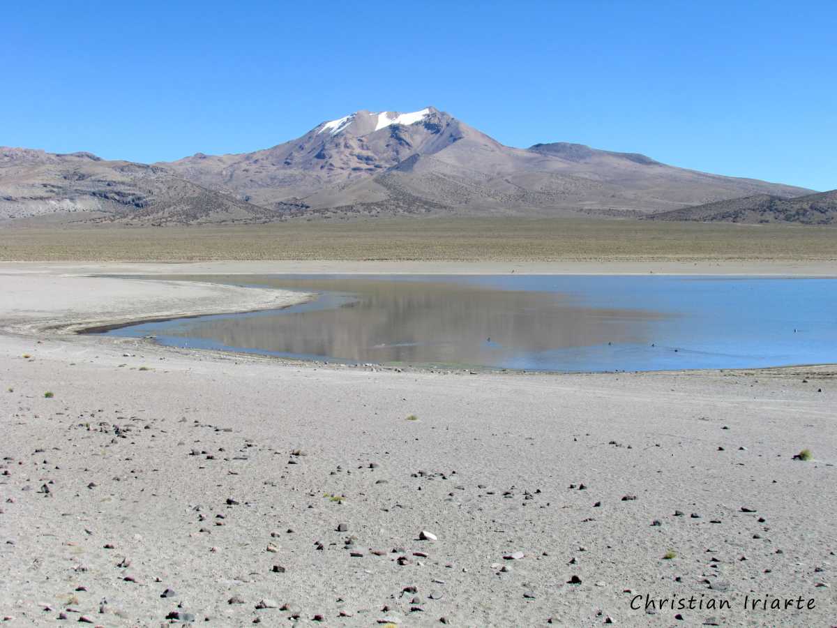 Image: Laguna Huaynacota