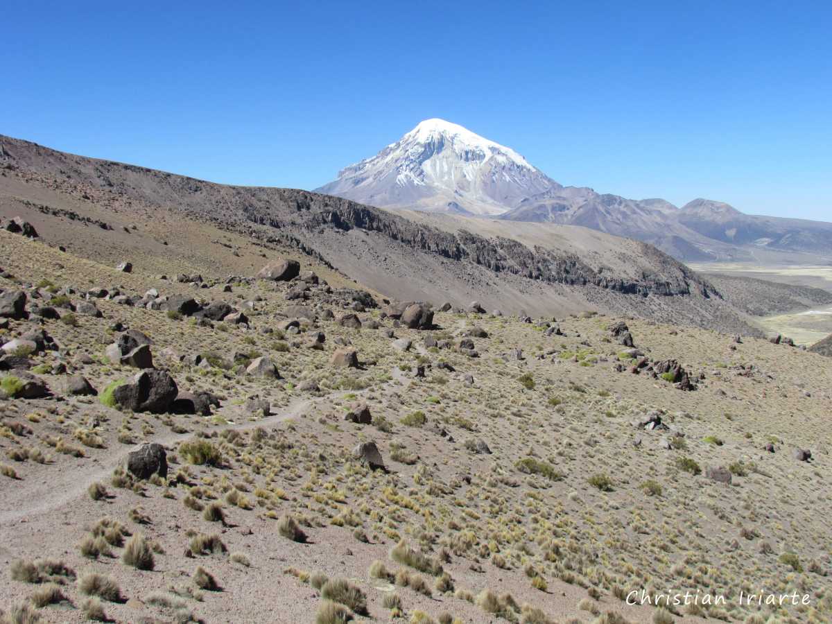Trail to Lagunas Altoandinas - Sajama National Park