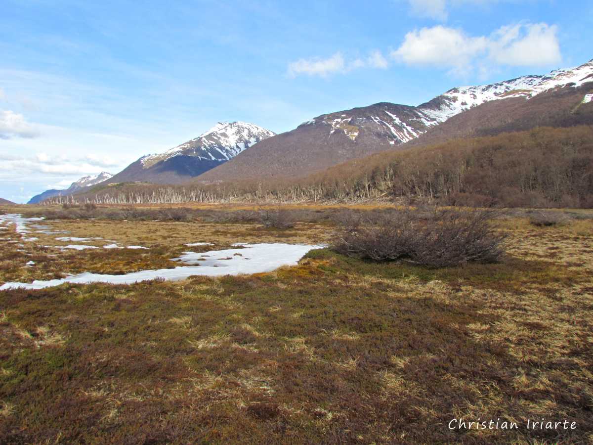 Trail to the laguna Esmeralda