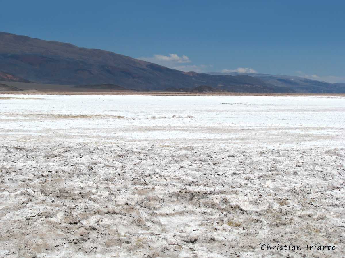 Antofalla Salt Flat