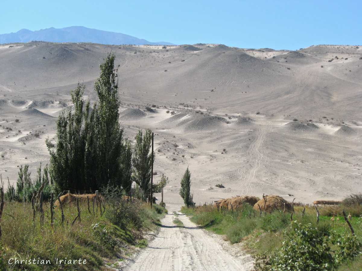 Image: Medanitos