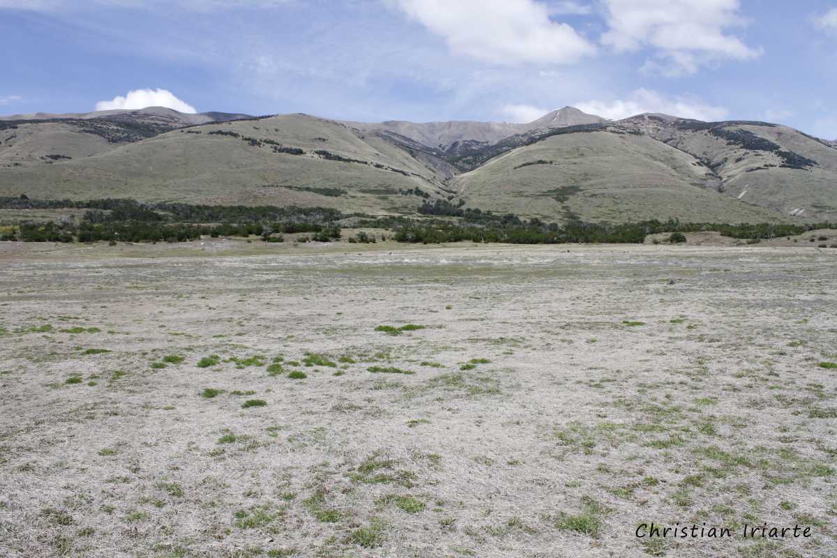 Vista desde el camping El Huala - Lago Roca