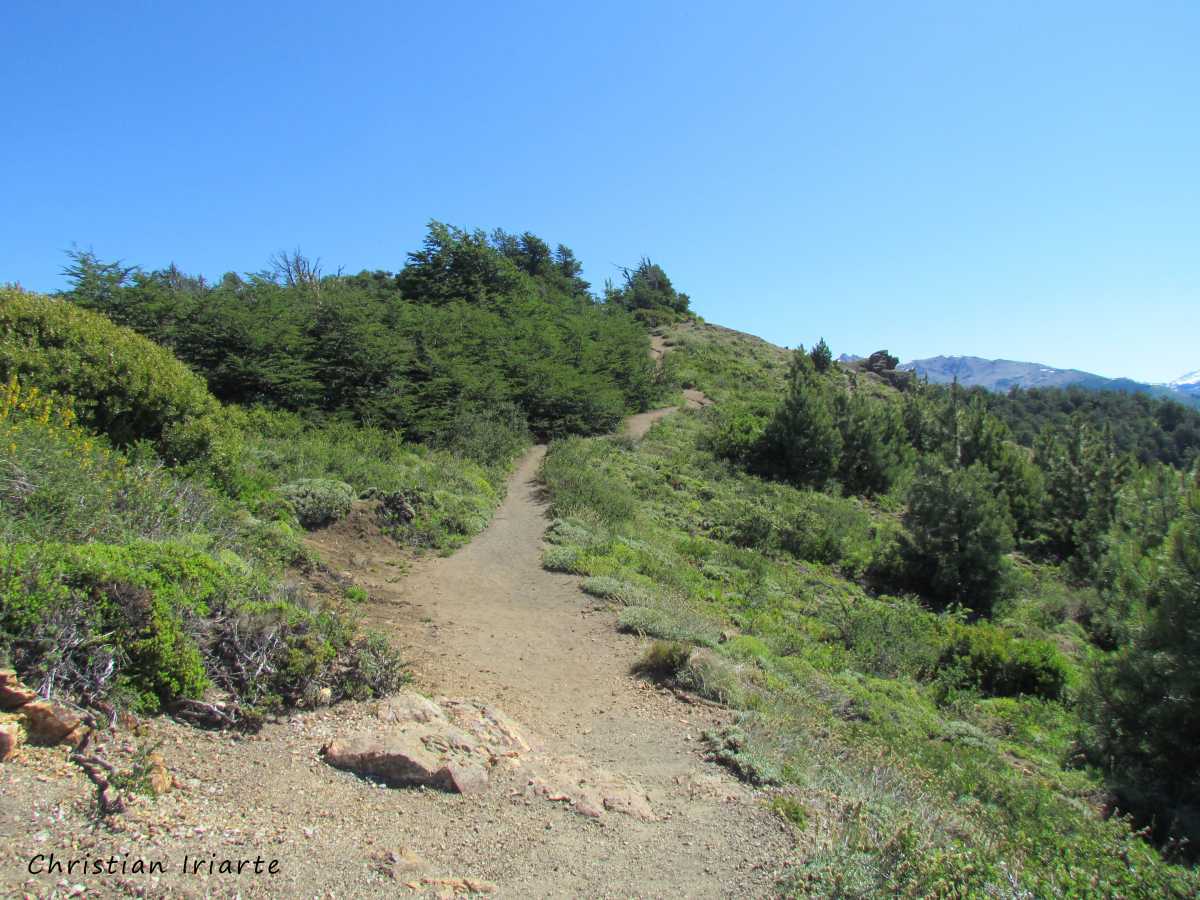 Trail to Nido del Águila (Eagle's Nest) - Cerro Otto