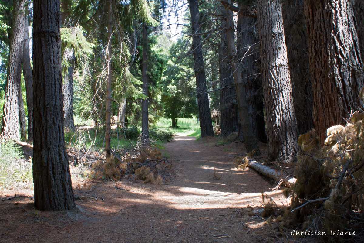 Antiguo Vivero trail - Victoria Island
