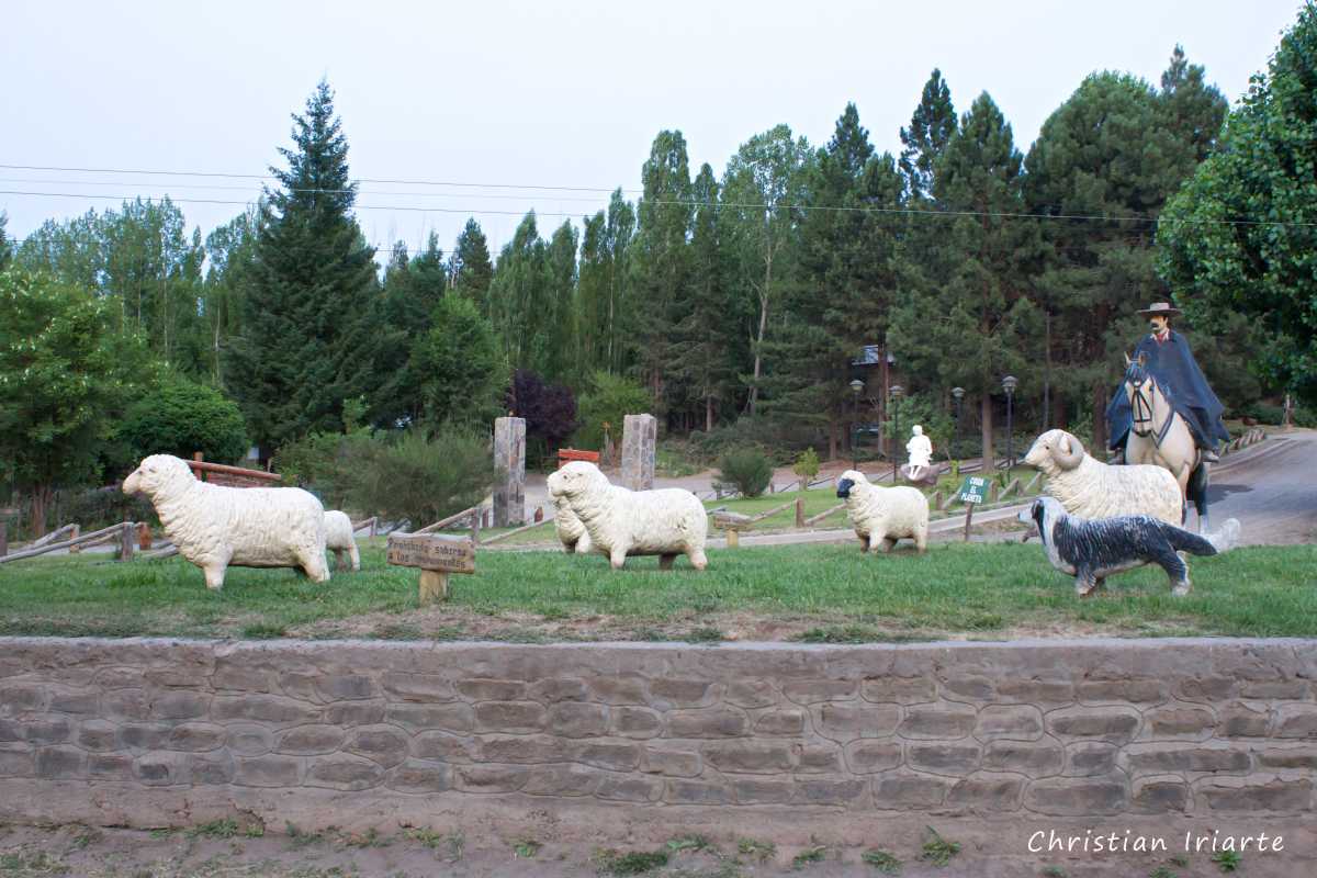Image: Las Ovejas