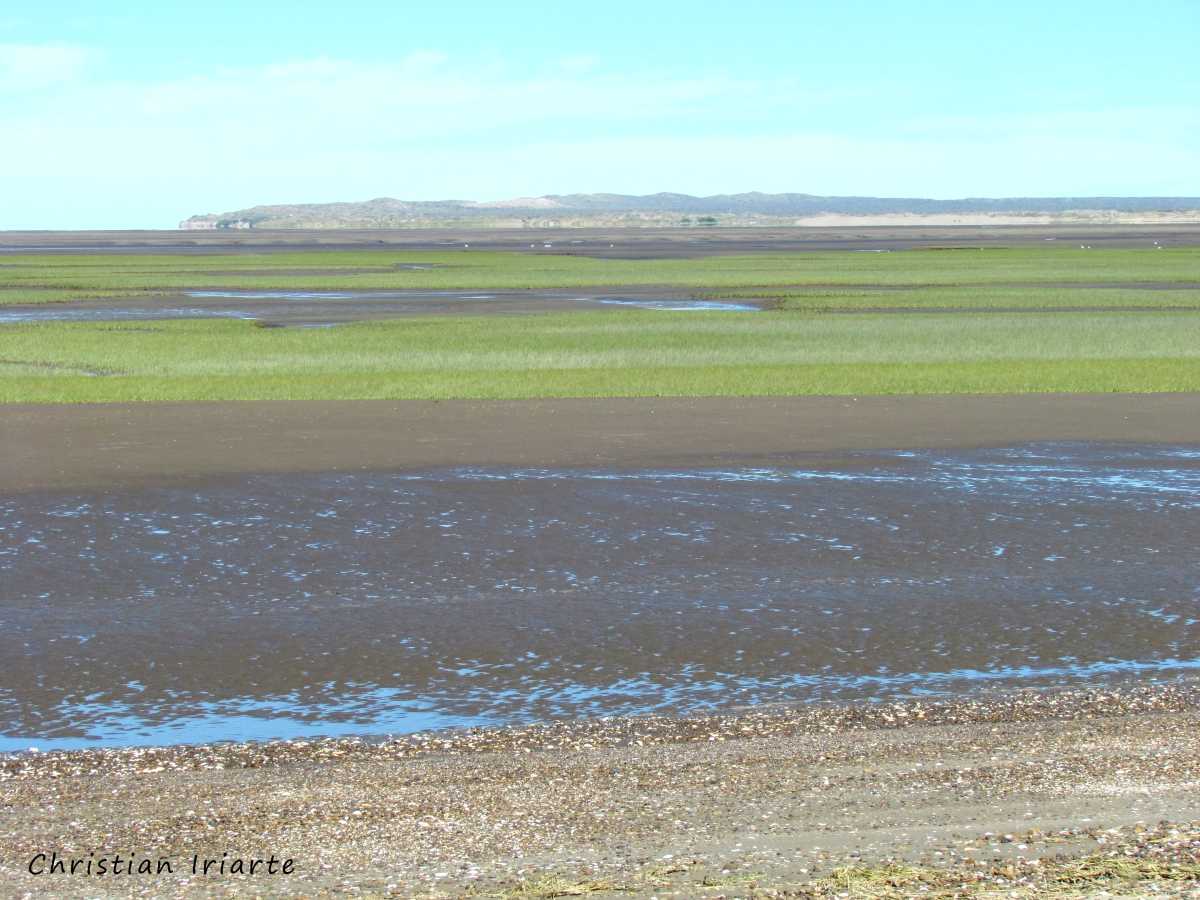 Imagen: Caleta de los Loros