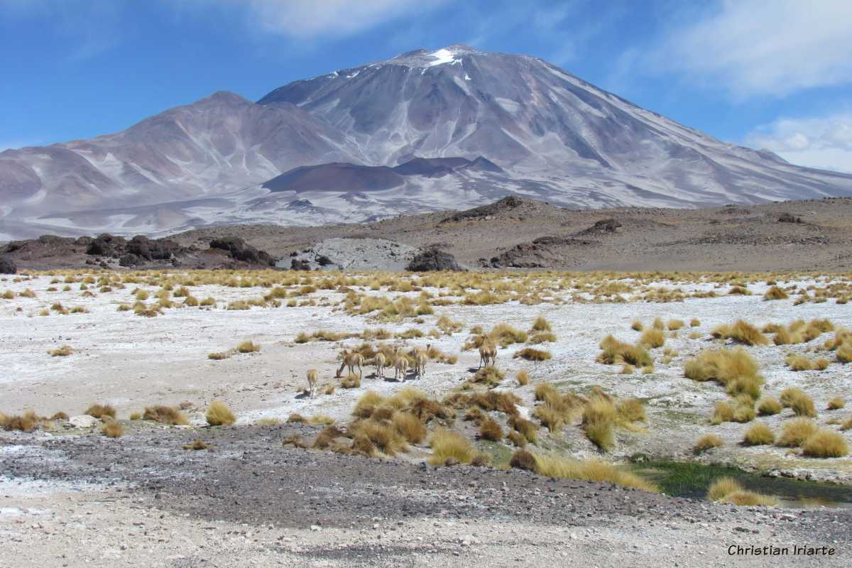 Incahuasi Volcano