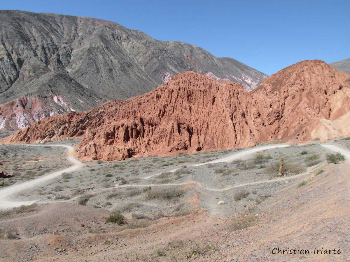 Image: Paseo de los Colorados
