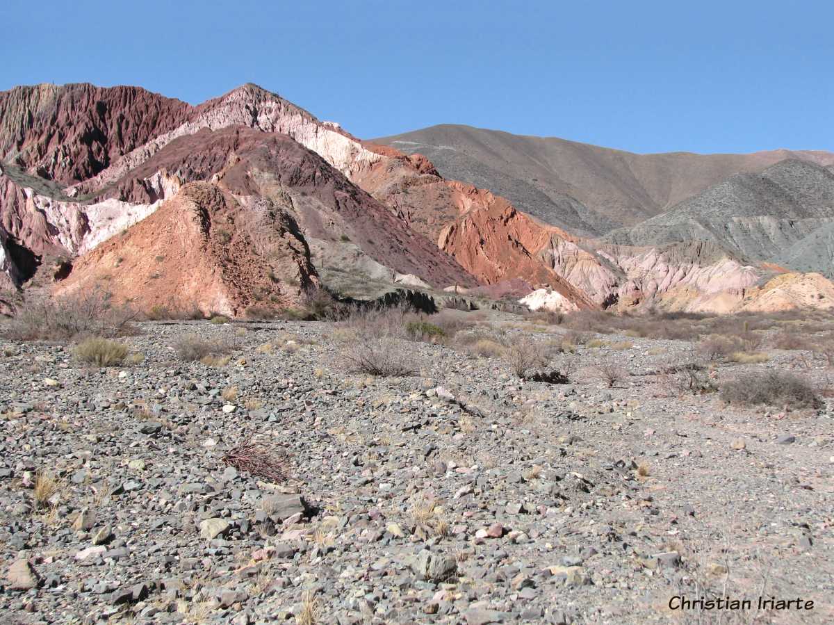 Paseo de los Colorados