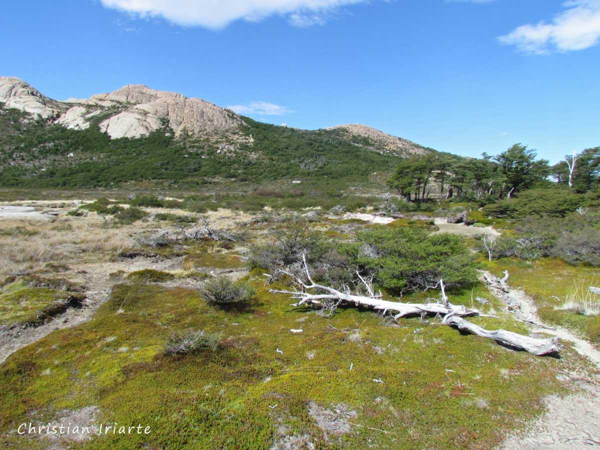 Trail from Laguna Capri to Poincenot