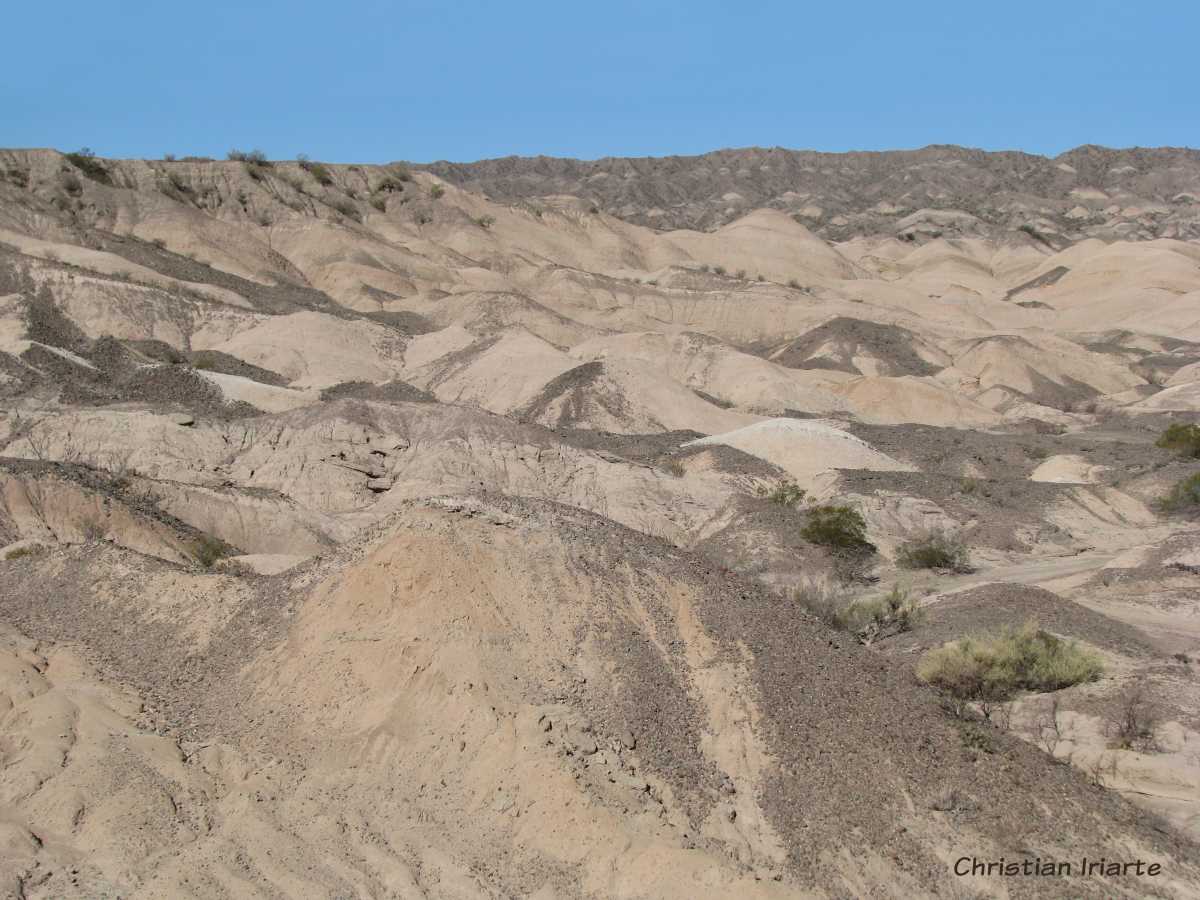 Loma de las Tapias