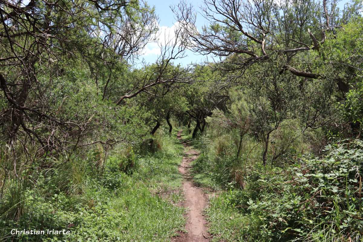 Sendero del balneario El Talar