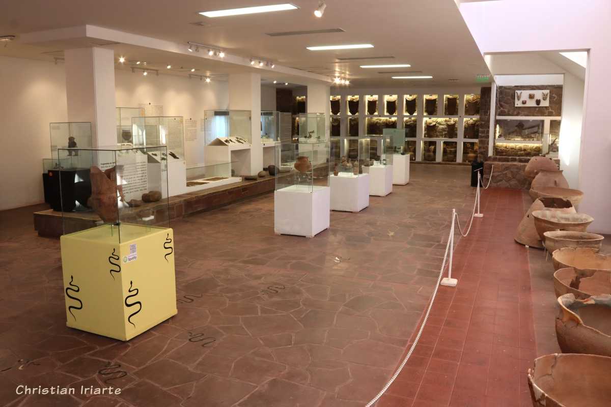 Image: Museum of Anthropology - Salta