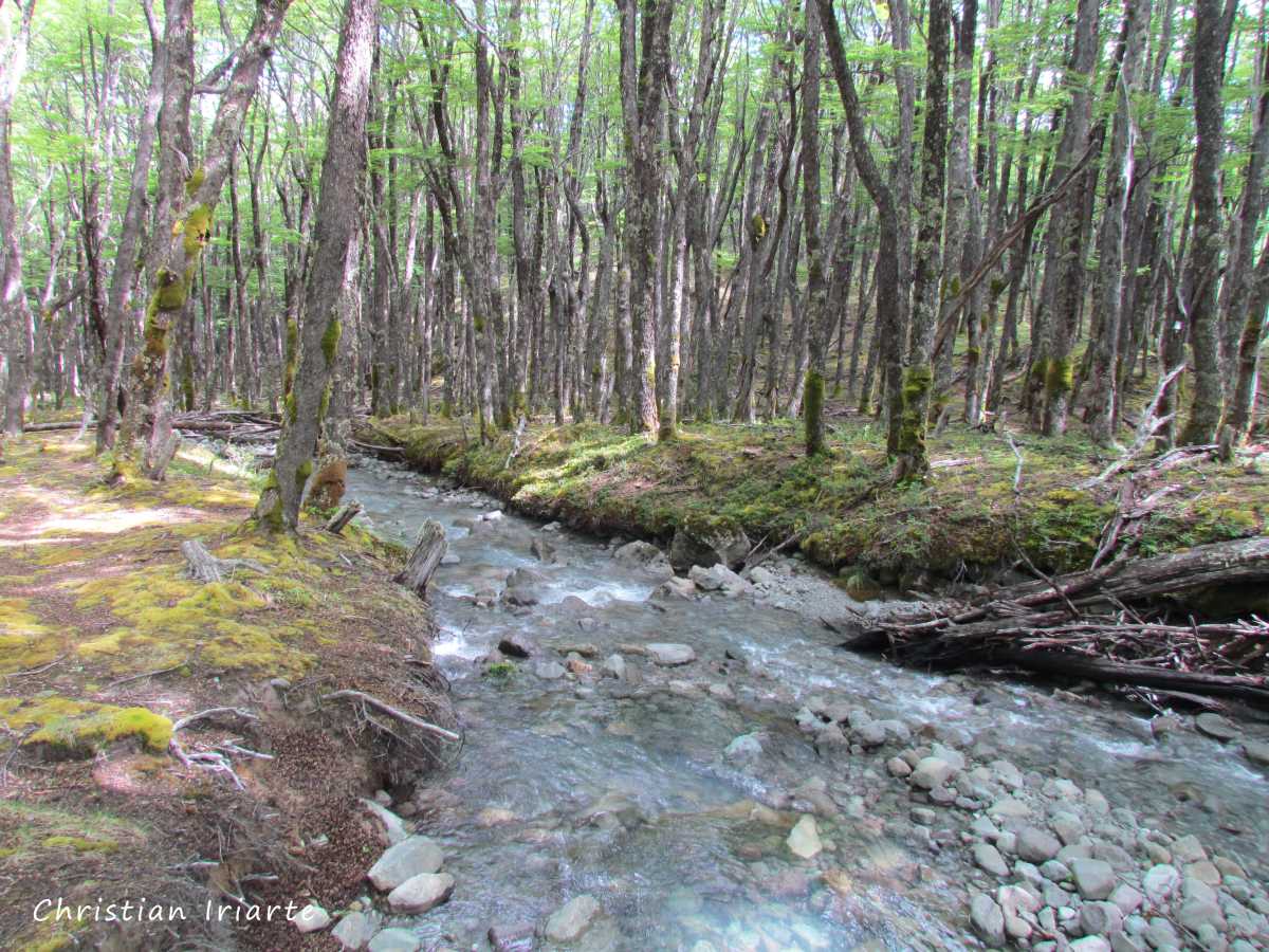 Río que bordea el sendero al glaciar Huemul
