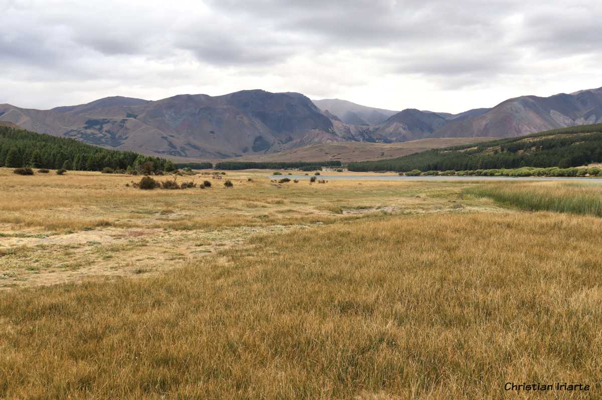 Laguna La Zeta Urban Nature Reserve