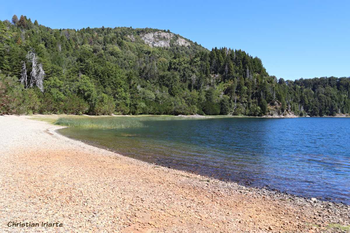 Image: Lake Verde - Los Alerces National Park