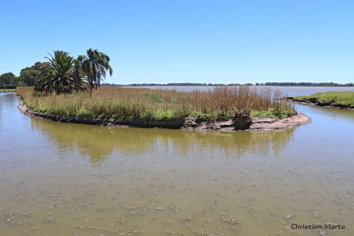 Laguna de Bragado