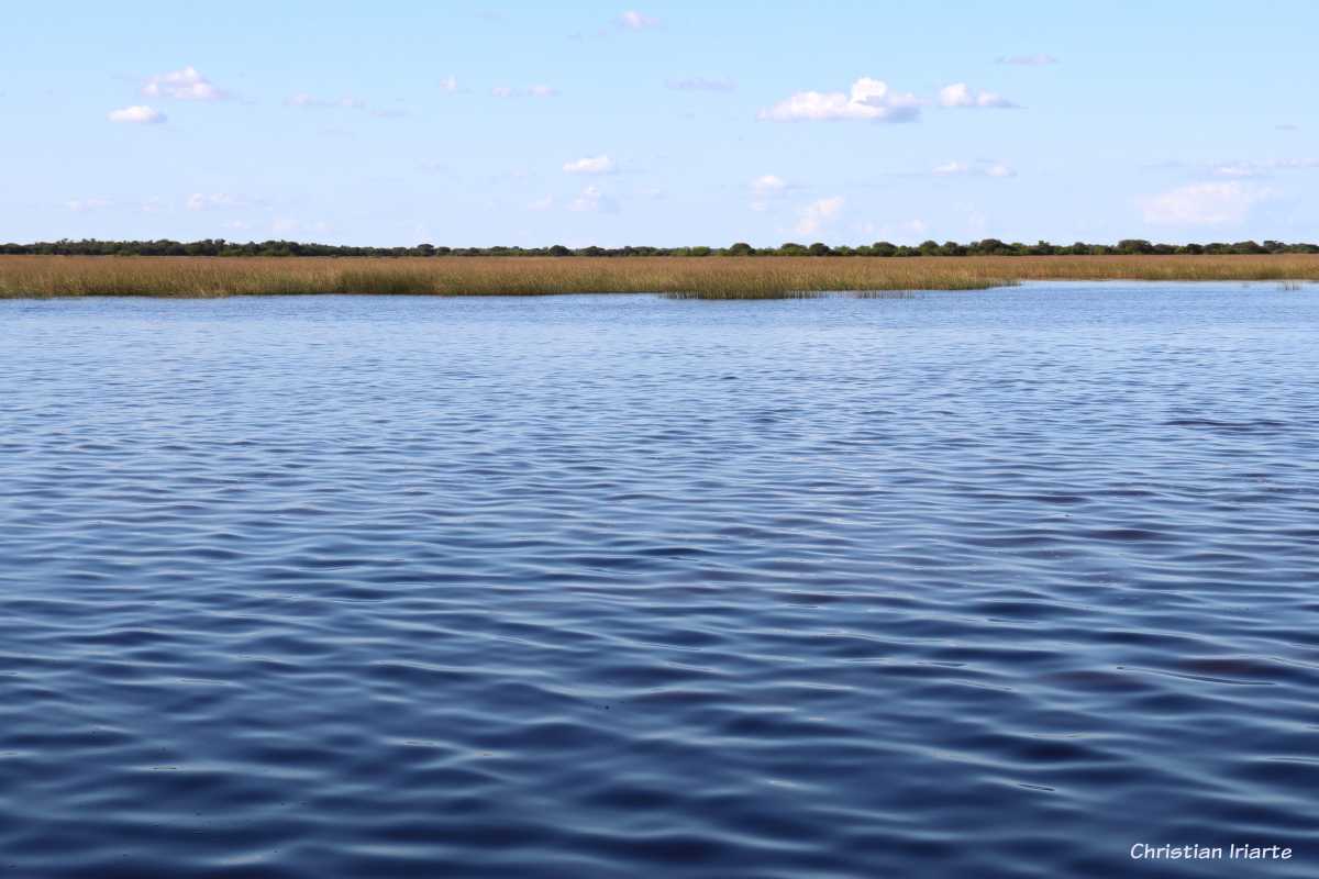 Laguna Paiva