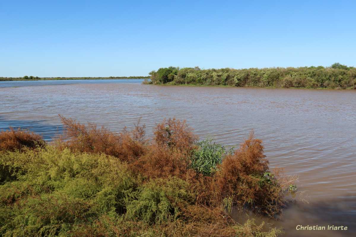 Mouth of the Carcarañá River