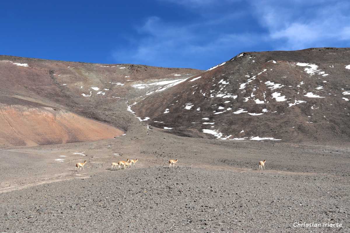 Route to Balcón del Pissis