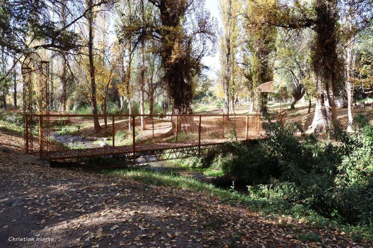 Imagen: El Bosquecillo - Sañogasta