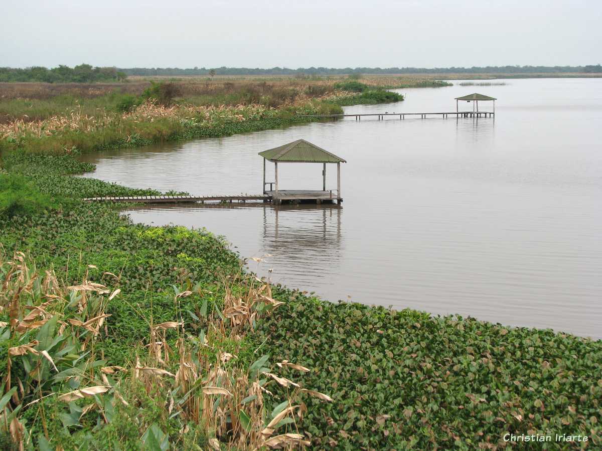 Image: Laguna Blanca - Río Pilcomayo National Park