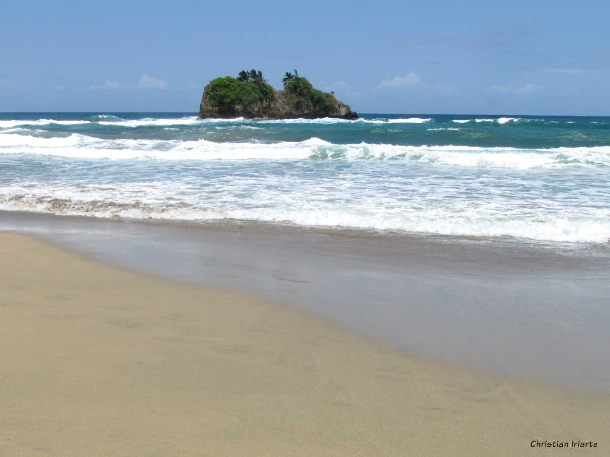 Image: Cocles Beach