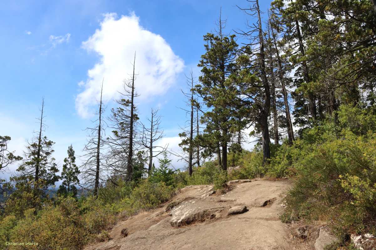 Trail to the main viewpoint of Cerro Amigo